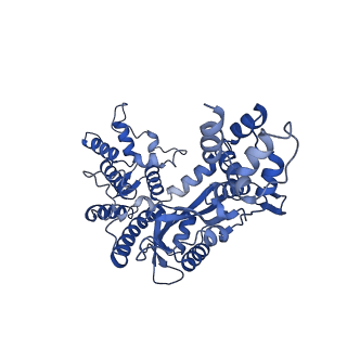 20254_6p5a_A_v1-4
Drosophila P element transposase strand transfer complex