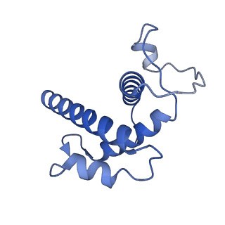 20254_6p5a_B_v1-3
Drosophila P element transposase strand transfer complex