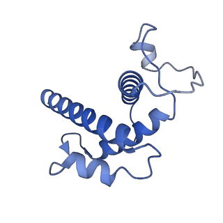 20254_6p5a_B_v1-4
Drosophila P element transposase strand transfer complex