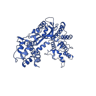 20254_6p5a_G_v1-3
Drosophila P element transposase strand transfer complex