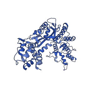 20254_6p5a_G_v1-4
Drosophila P element transposase strand transfer complex