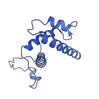 20254_6p5a_H_v1-3
Drosophila P element transposase strand transfer complex