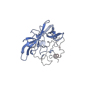 20255_6p5i_AA_v1-4
Structure of a mammalian 80S ribosome in complex with the Israeli Acute Paralysis Virus IRES (Class 1)