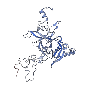 20255_6p5i_AB_v1-4
Structure of a mammalian 80S ribosome in complex with the Israeli Acute Paralysis Virus IRES (Class 1)