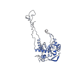20255_6p5i_AC_v1-4
Structure of a mammalian 80S ribosome in complex with the Israeli Acute Paralysis Virus IRES (Class 1)