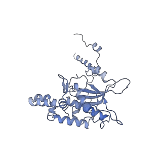 20255_6p5i_AD_v1-4
Structure of a mammalian 80S ribosome in complex with the Israeli Acute Paralysis Virus IRES (Class 1)