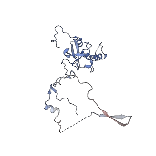 20255_6p5i_AE_v1-4
Structure of a mammalian 80S ribosome in complex with the Israeli Acute Paralysis Virus IRES (Class 1)