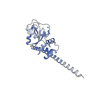 20255_6p5i_AF_v1-4
Structure of a mammalian 80S ribosome in complex with the Israeli Acute Paralysis Virus IRES (Class 1)