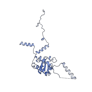 20255_6p5i_AG_v1-4
Structure of a mammalian 80S ribosome in complex with the Israeli Acute Paralysis Virus IRES (Class 1)