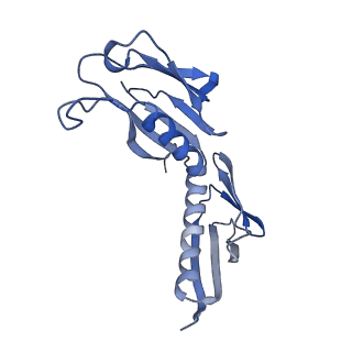 20255_6p5i_AH_v1-4
Structure of a mammalian 80S ribosome in complex with the Israeli Acute Paralysis Virus IRES (Class 1)