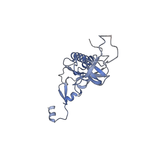 20255_6p5i_AI_v1-4
Structure of a mammalian 80S ribosome in complex with the Israeli Acute Paralysis Virus IRES (Class 1)