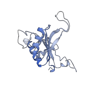 20255_6p5i_AJ_v1-4
Structure of a mammalian 80S ribosome in complex with the Israeli Acute Paralysis Virus IRES (Class 1)