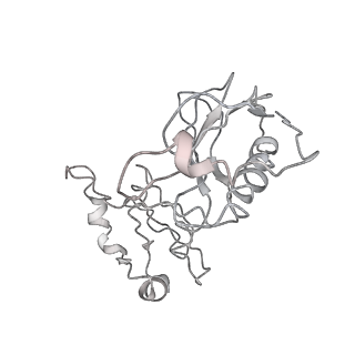 20255_6p5i_AK_v1-4
Structure of a mammalian 80S ribosome in complex with the Israeli Acute Paralysis Virus IRES (Class 1)