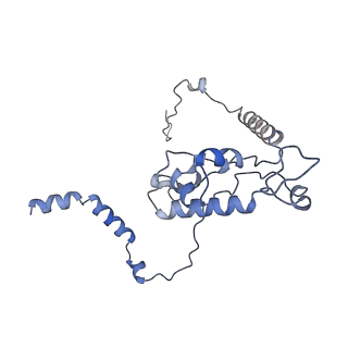 20255_6p5i_AL_v1-4
Structure of a mammalian 80S ribosome in complex with the Israeli Acute Paralysis Virus IRES (Class 1)