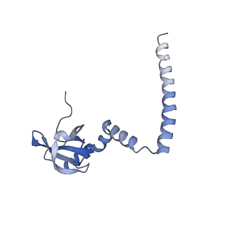 20255_6p5i_AM_v1-4
Structure of a mammalian 80S ribosome in complex with the Israeli Acute Paralysis Virus IRES (Class 1)