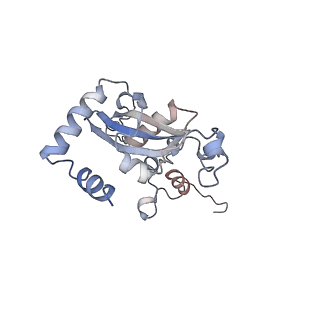 20255_6p5i_AN_v1-4
Structure of a mammalian 80S ribosome in complex with the Israeli Acute Paralysis Virus IRES (Class 1)