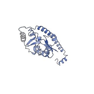 20255_6p5i_AO_v1-4
Structure of a mammalian 80S ribosome in complex with the Israeli Acute Paralysis Virus IRES (Class 1)