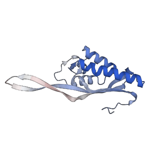 20255_6p5i_AP_v1-4
Structure of a mammalian 80S ribosome in complex with the Israeli Acute Paralysis Virus IRES (Class 1)