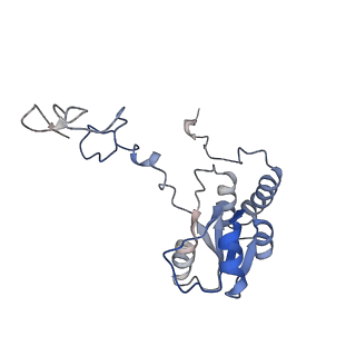 20255_6p5i_AQ_v1-4
Structure of a mammalian 80S ribosome in complex with the Israeli Acute Paralysis Virus IRES (Class 1)