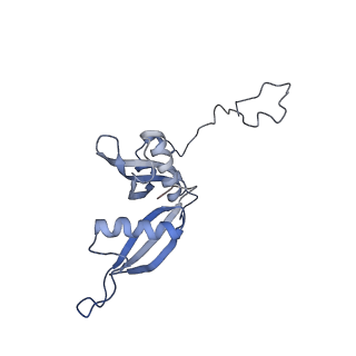 20255_6p5i_AS_v1-4
Structure of a mammalian 80S ribosome in complex with the Israeli Acute Paralysis Virus IRES (Class 1)