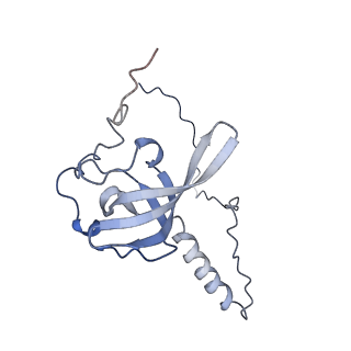 20255_6p5i_AT_v1-4
Structure of a mammalian 80S ribosome in complex with the Israeli Acute Paralysis Virus IRES (Class 1)