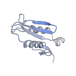 20255_6p5i_AU_v1-4
Structure of a mammalian 80S ribosome in complex with the Israeli Acute Paralysis Virus IRES (Class 1)