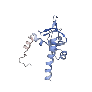 20255_6p5i_AY_v1-4
Structure of a mammalian 80S ribosome in complex with the Israeli Acute Paralysis Virus IRES (Class 1)