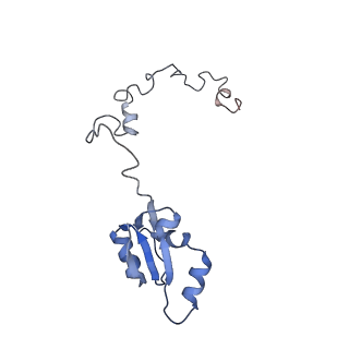 20255_6p5i_Aa_v1-4
Structure of a mammalian 80S ribosome in complex with the Israeli Acute Paralysis Virus IRES (Class 1)
