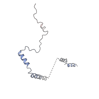 20255_6p5i_Ab_v1-4
Structure of a mammalian 80S ribosome in complex with the Israeli Acute Paralysis Virus IRES (Class 1)