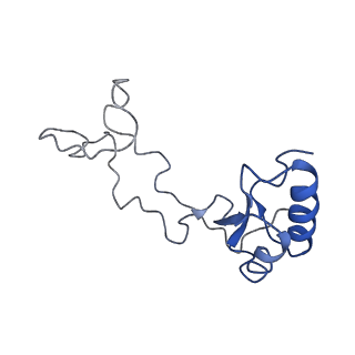 20255_6p5i_Ae_v1-4
Structure of a mammalian 80S ribosome in complex with the Israeli Acute Paralysis Virus IRES (Class 1)