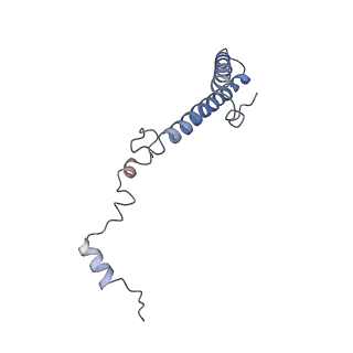 20255_6p5i_Ah_v1-4
Structure of a mammalian 80S ribosome in complex with the Israeli Acute Paralysis Virus IRES (Class 1)