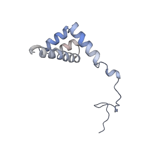 20255_6p5i_Ai_v1-4
Structure of a mammalian 80S ribosome in complex with the Israeli Acute Paralysis Virus IRES (Class 1)