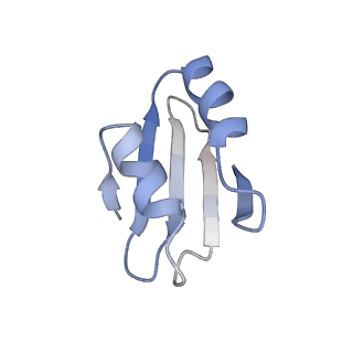 20255_6p5i_Ak_v1-4
Structure of a mammalian 80S ribosome in complex with the Israeli Acute Paralysis Virus IRES (Class 1)