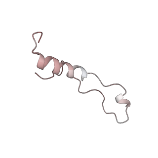 20255_6p5i_Al_v1-4
Structure of a mammalian 80S ribosome in complex with the Israeli Acute Paralysis Virus IRES (Class 1)