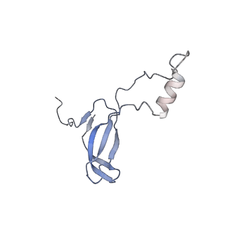 20255_6p5i_Ao_v1-4
Structure of a mammalian 80S ribosome in complex with the Israeli Acute Paralysis Virus IRES (Class 1)