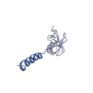 20255_6p5i_Ap_v1-4
Structure of a mammalian 80S ribosome in complex with the Israeli Acute Paralysis Virus IRES (Class 1)
