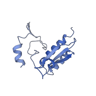 20255_6p5i_Ar_v1-4
Structure of a mammalian 80S ribosome in complex with the Israeli Acute Paralysis Virus IRES (Class 1)