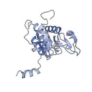20255_6p5i_B_v1-4
Structure of a mammalian 80S ribosome in complex with the Israeli Acute Paralysis Virus IRES (Class 1)