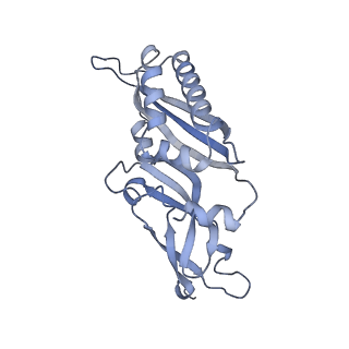 20255_6p5i_C_v1-4
Structure of a mammalian 80S ribosome in complex with the Israeli Acute Paralysis Virus IRES (Class 1)