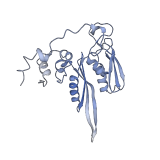 20255_6p5i_D_v1-4
Structure of a mammalian 80S ribosome in complex with the Israeli Acute Paralysis Virus IRES (Class 1)