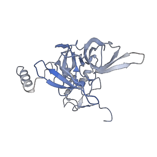 20255_6p5i_F_v1-4
Structure of a mammalian 80S ribosome in complex with the Israeli Acute Paralysis Virus IRES (Class 1)