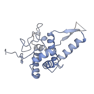 20255_6p5i_G_v1-4
Structure of a mammalian 80S ribosome in complex with the Israeli Acute Paralysis Virus IRES (Class 1)