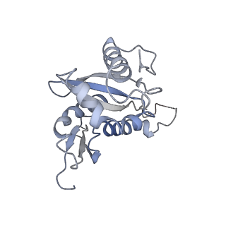20255_6p5i_I_v1-4
Structure of a mammalian 80S ribosome in complex with the Israeli Acute Paralysis Virus IRES (Class 1)
