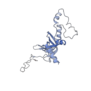 20255_6p5i_J_v1-4
Structure of a mammalian 80S ribosome in complex with the Israeli Acute Paralysis Virus IRES (Class 1)