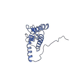 20255_6p5i_K_v1-4
Structure of a mammalian 80S ribosome in complex with the Israeli Acute Paralysis Virus IRES (Class 1)