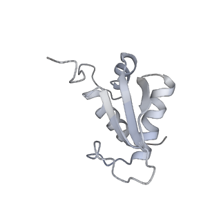 20255_6p5i_L_v1-4
Structure of a mammalian 80S ribosome in complex with the Israeli Acute Paralysis Virus IRES (Class 1)