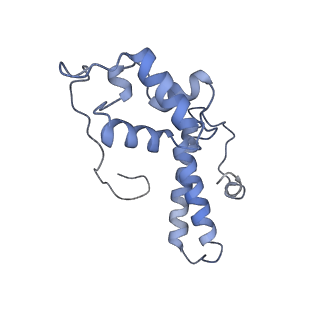 20255_6p5i_O_v1-4
Structure of a mammalian 80S ribosome in complex with the Israeli Acute Paralysis Virus IRES (Class 1)