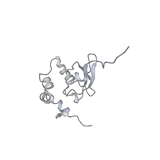 20255_6p5i_Q_v1-4
Structure of a mammalian 80S ribosome in complex with the Israeli Acute Paralysis Virus IRES (Class 1)