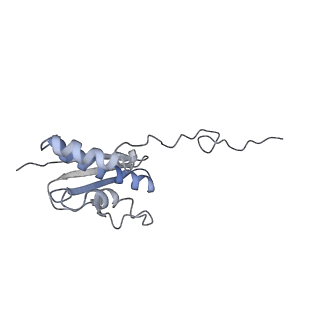 20255_6p5i_R_v1-4
Structure of a mammalian 80S ribosome in complex with the Israeli Acute Paralysis Virus IRES (Class 1)