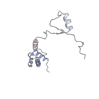 20255_6p5i_S_v1-4
Structure of a mammalian 80S ribosome in complex with the Israeli Acute Paralysis Virus IRES (Class 1)